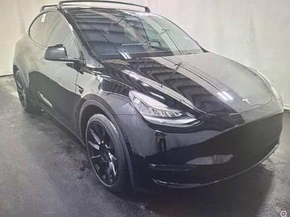 TESLA MODEL Y 2021 5YJYGDEE5MF115727 image